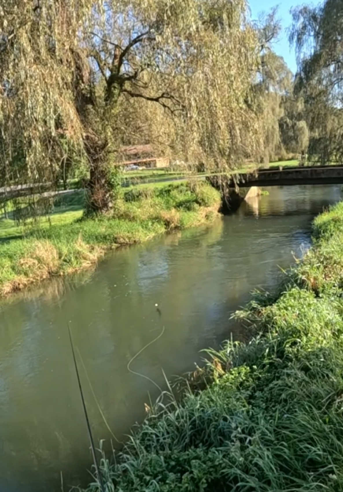 @FlyFishDelawhere