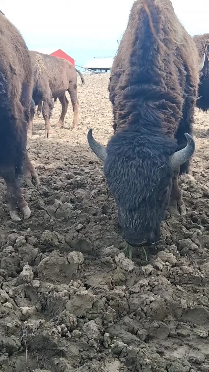 @Taylor | Sah{farm}m