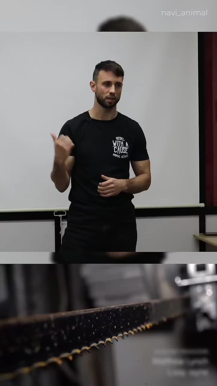 @Mauro Vegan🐑