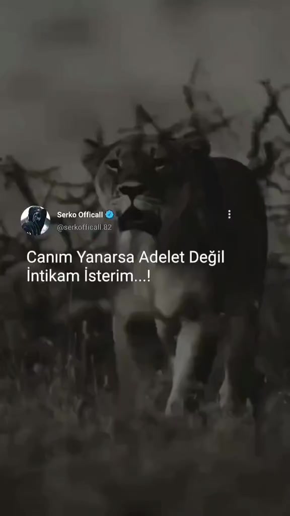 @Serkoficall
