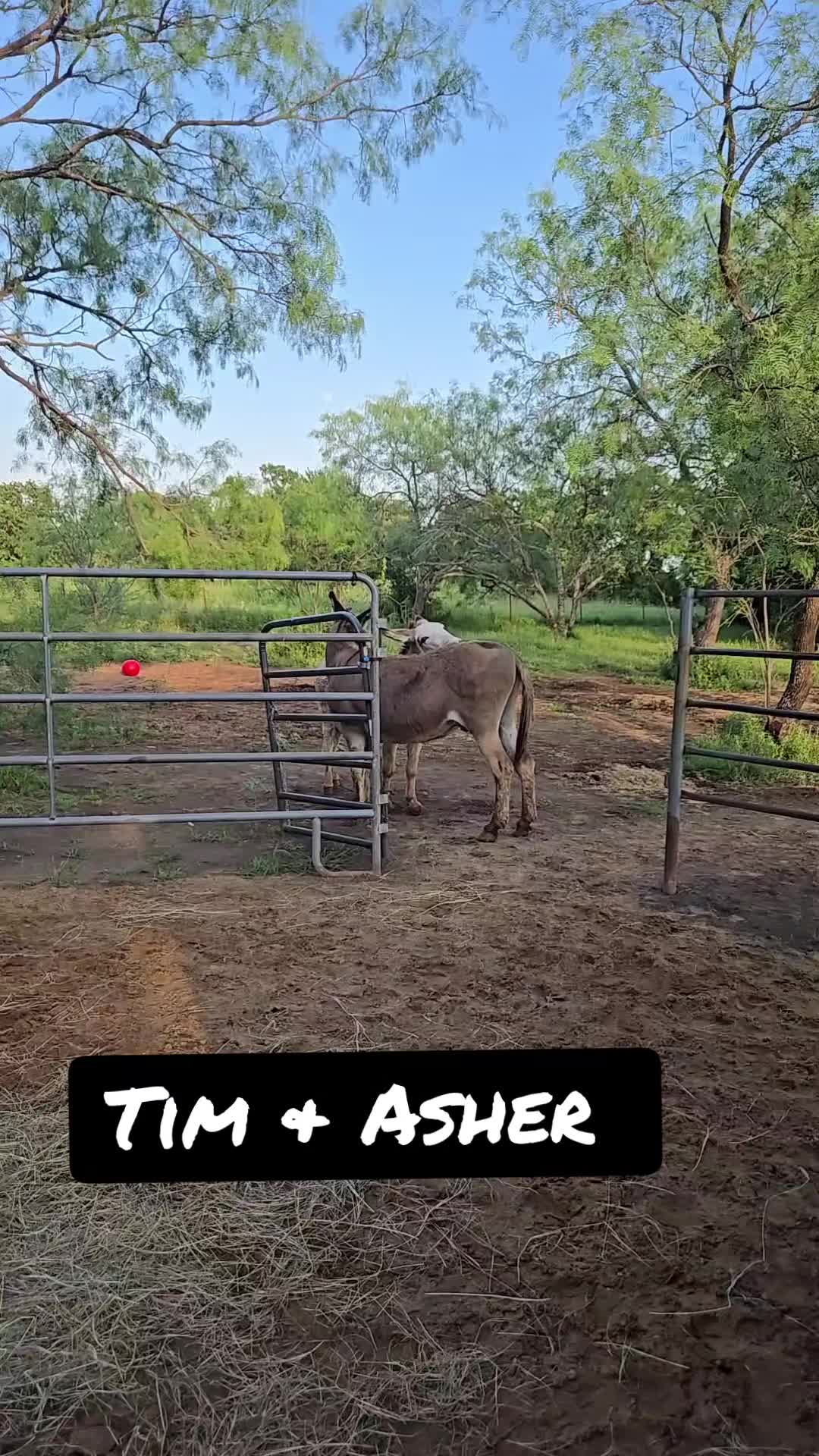 @Fonzy's Farm Rehab & Sanctuary