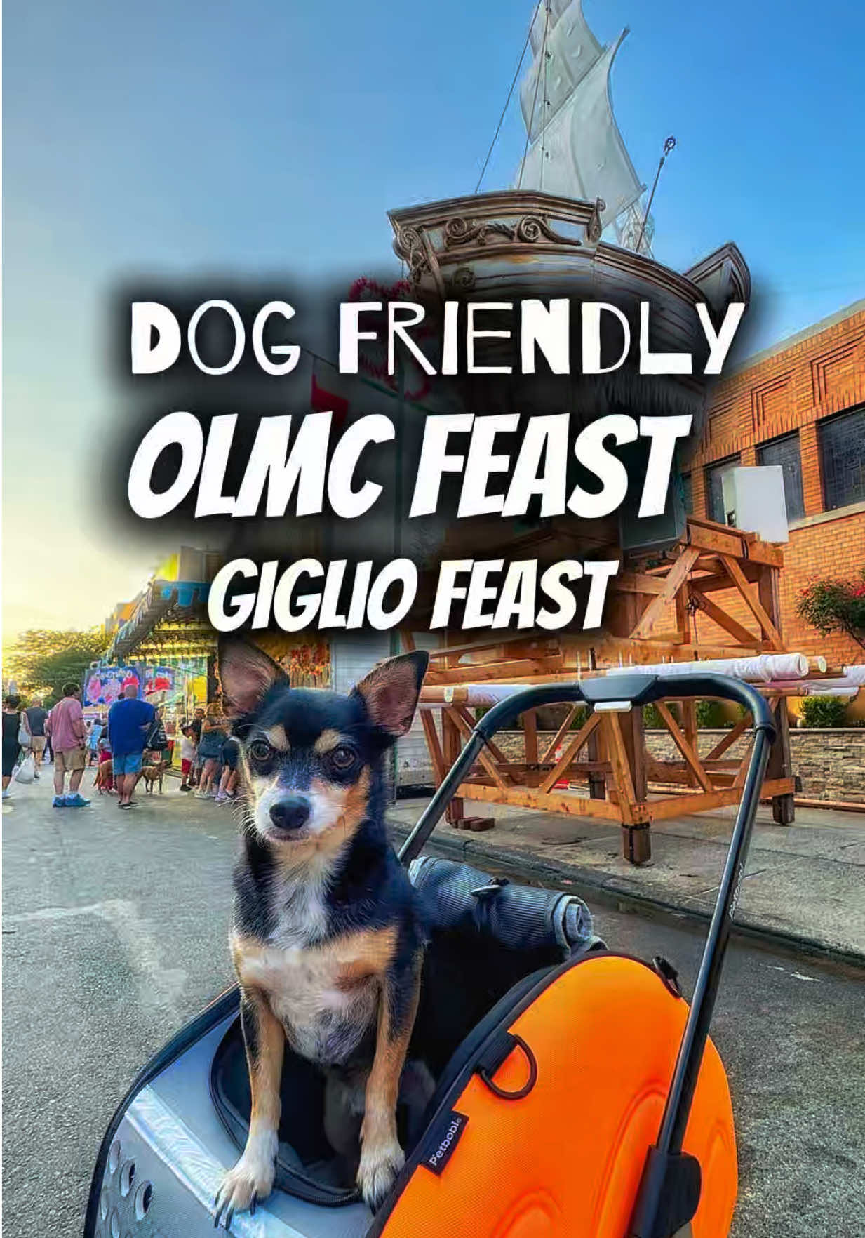 @nycdogadventures