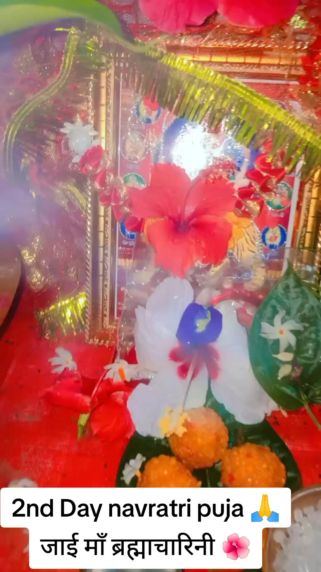 @SharbanSunitaRoyYadav861🤞❣