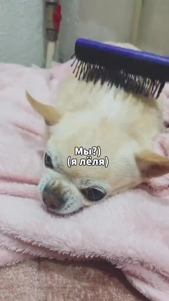 @КусюхаЗа🥸