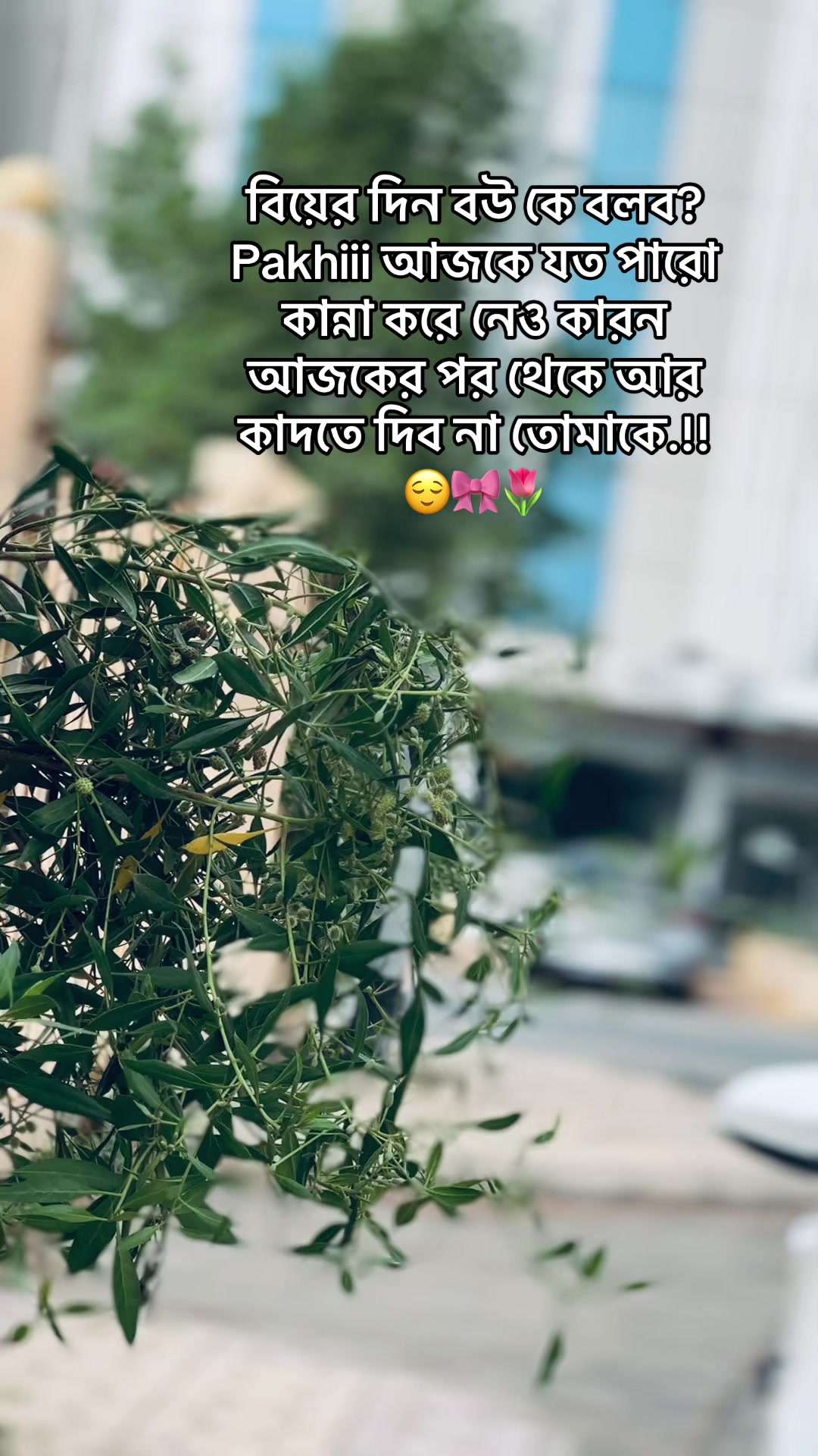 @đ¸đĻSUMON īŖŋ