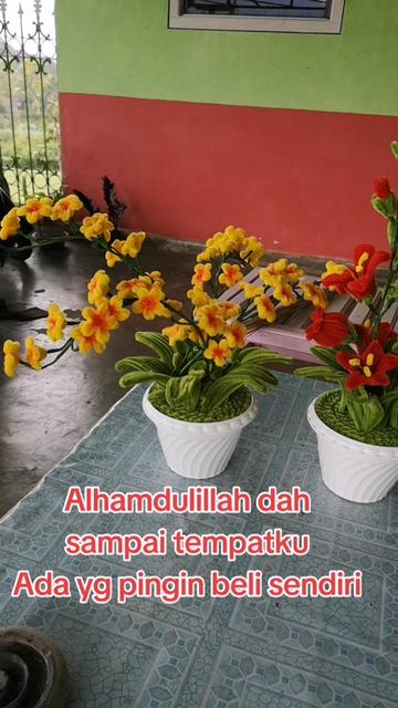 @๐๐ GoodHong KATU โ๏ธโ๏ธ๐๐