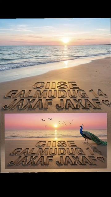 @CIISE GALMUDUG📸TV📺JAXAF JXAF