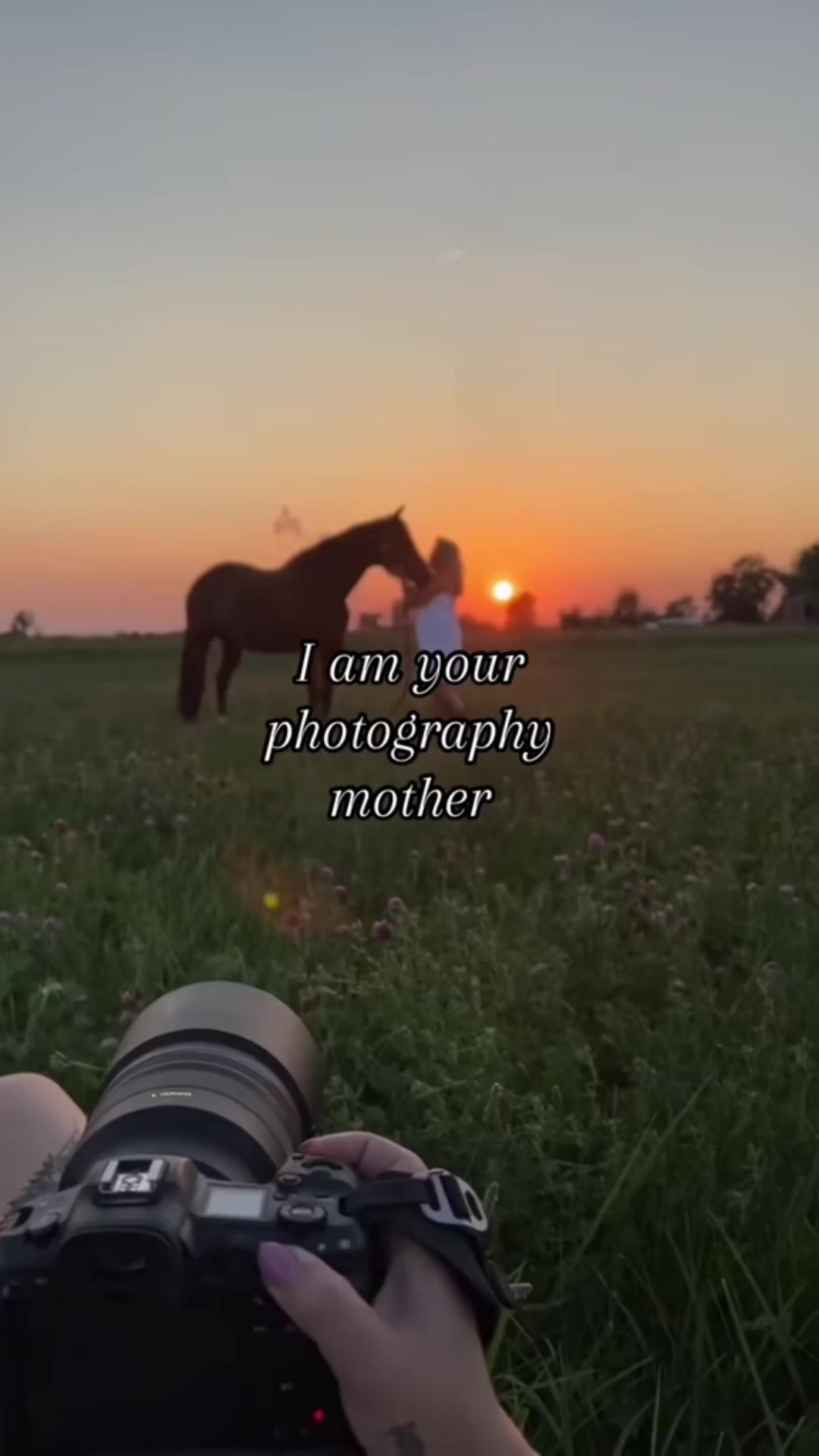 @Tisha 📸🦄 Equestrian Photog