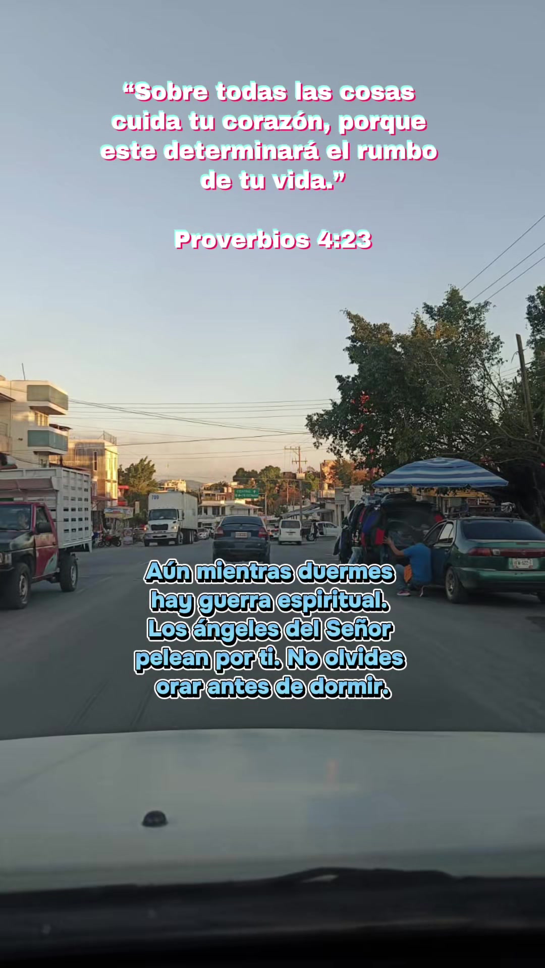 @Elfego Lopez