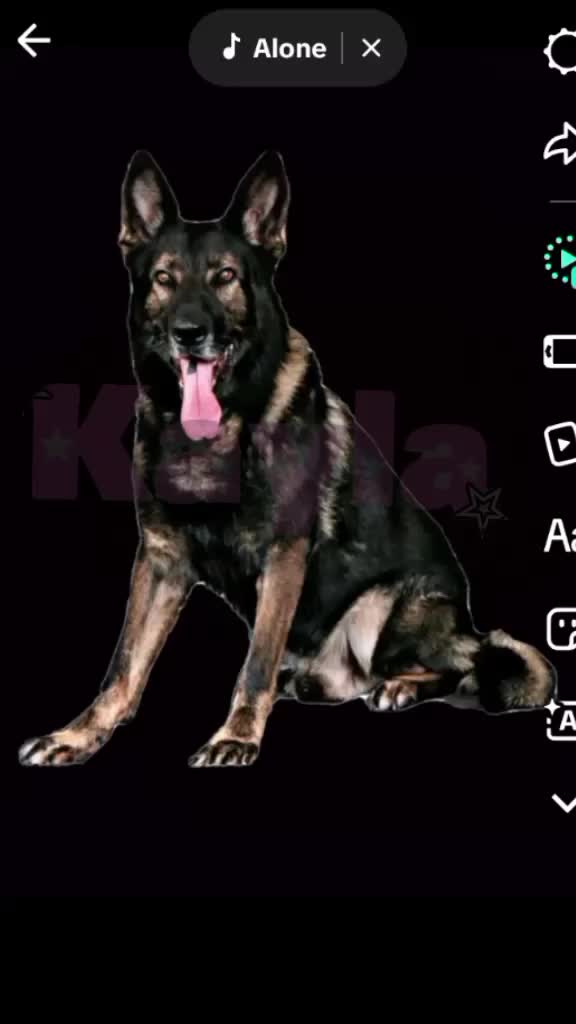 @🐶❌kaya_50k🍪🍫