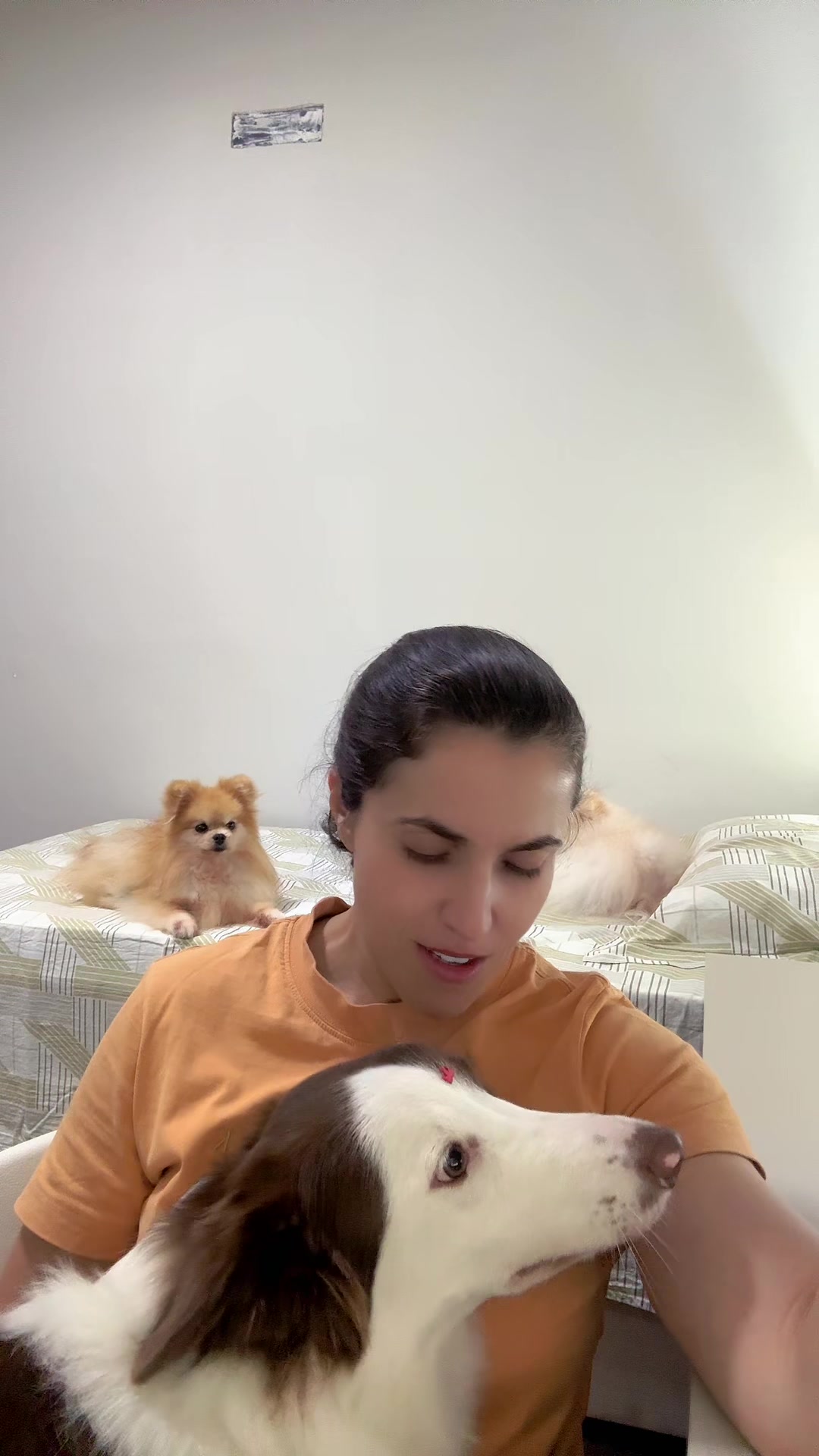 @Verônica Cunha