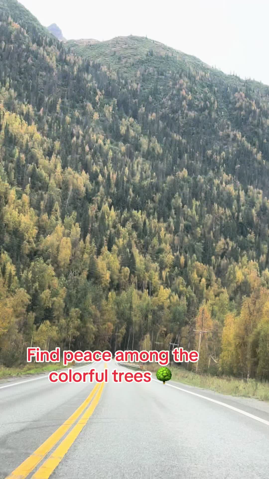 @Love907