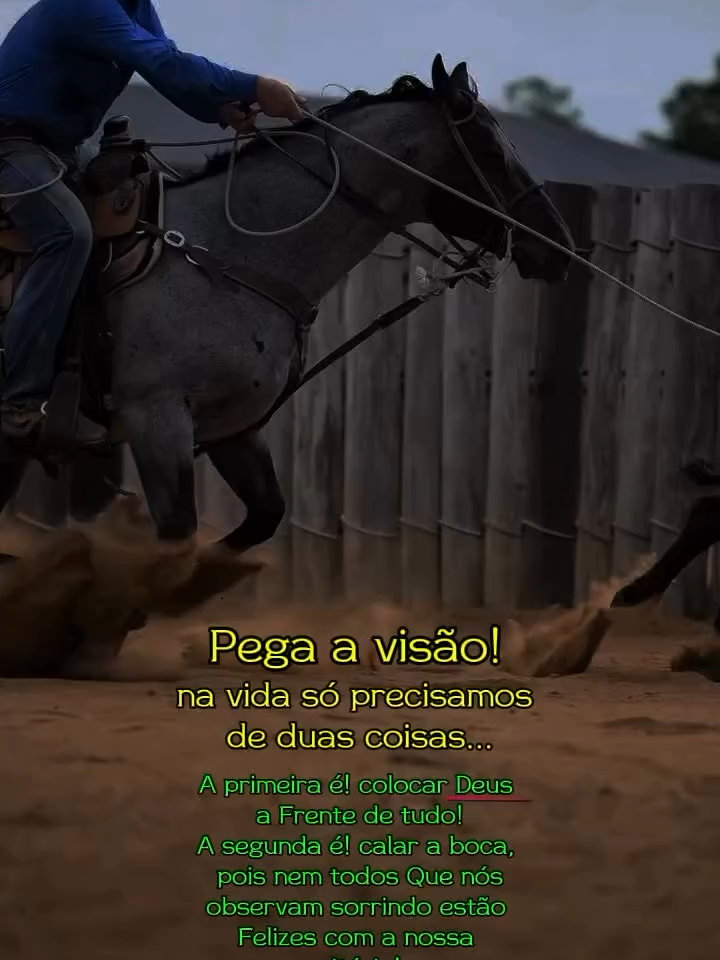 @Team Roping Brasil