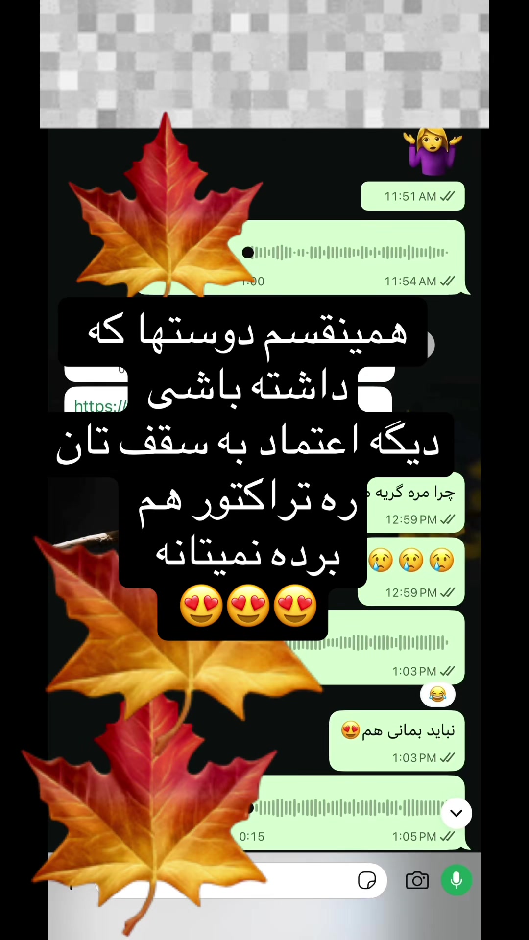 @❣️فانوس🍁خزان❣️
