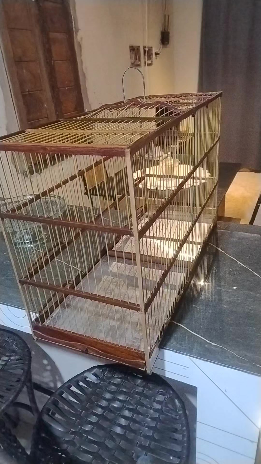 @Viv&ecirc;ncia de Passarinho