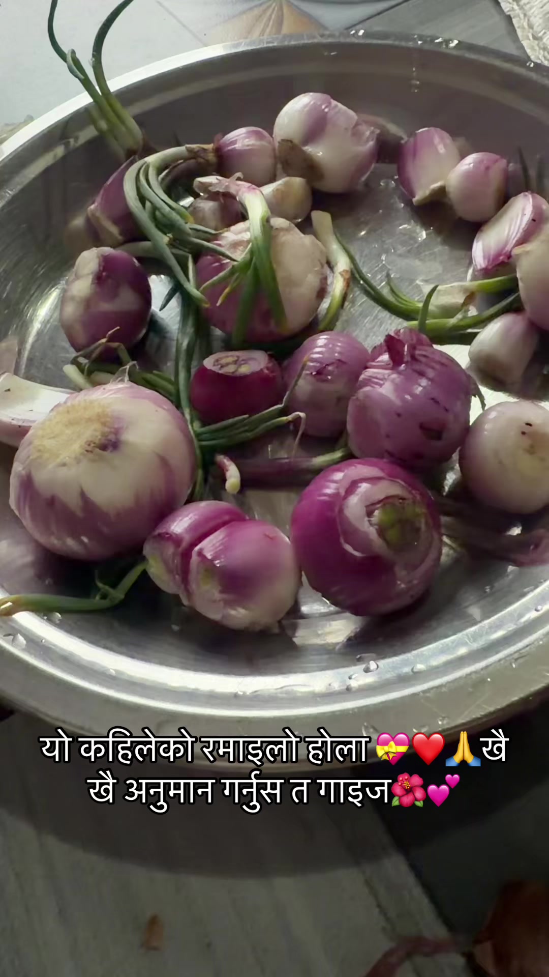 @meenu Rijal Adhikari