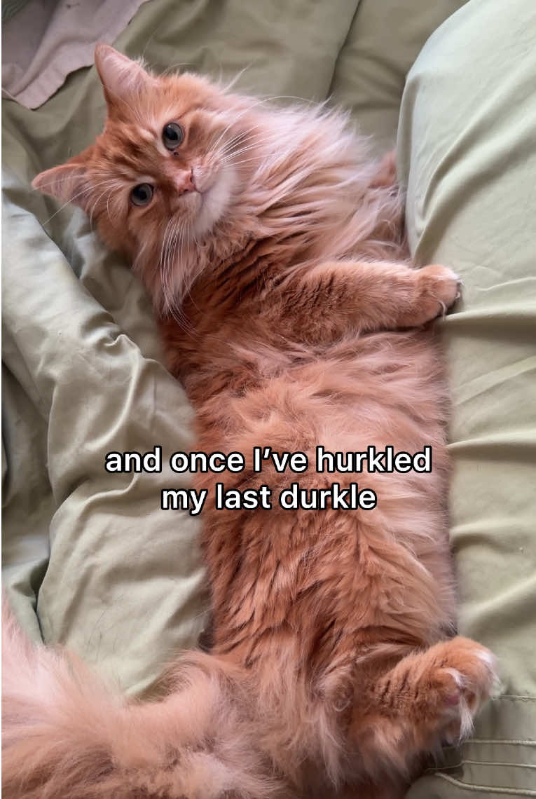 @The Oreo Cat