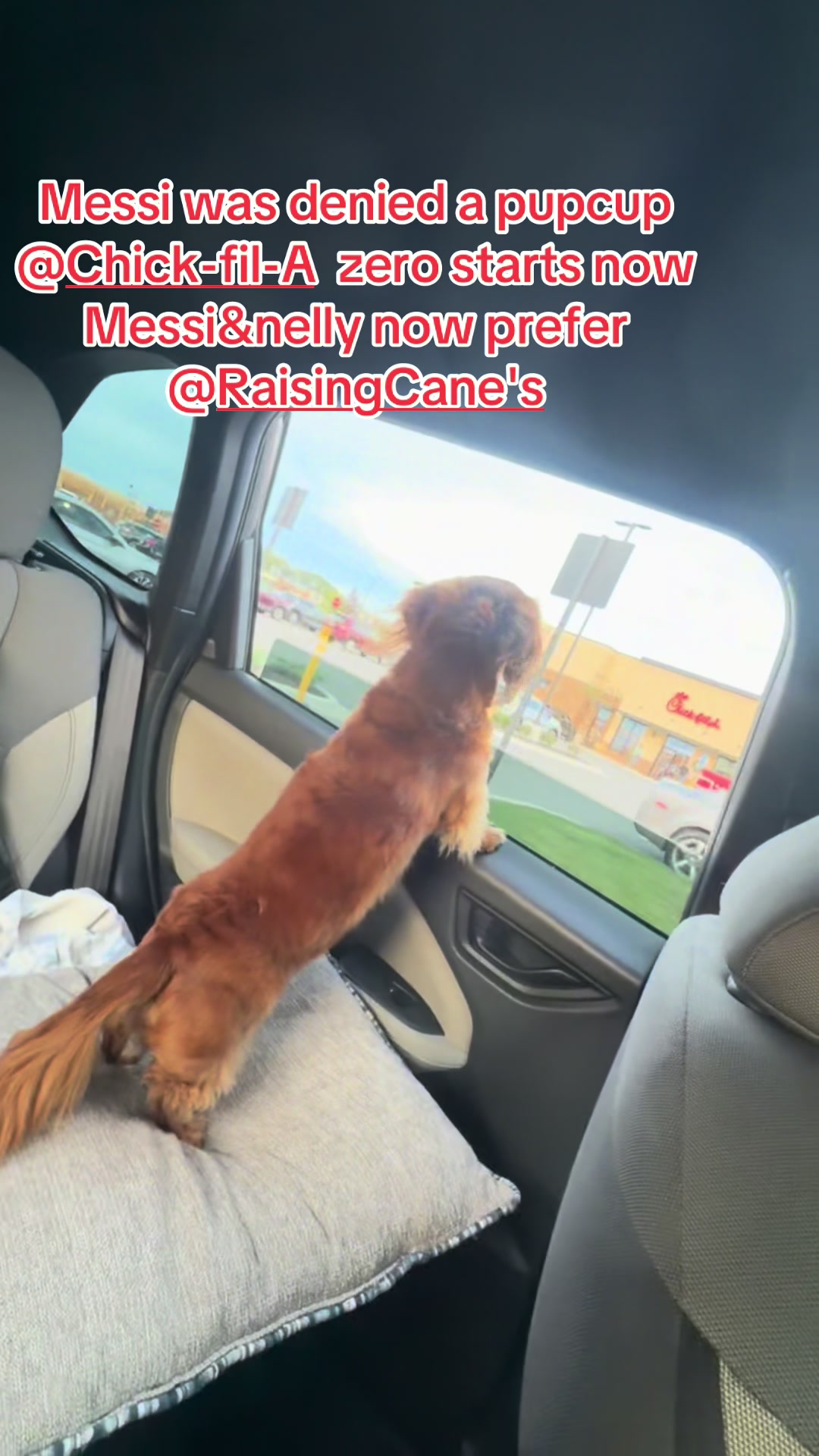 @Messi and Nelly(theweiners)
