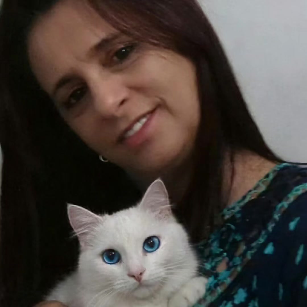 @O GATO ZEZ&Eacute;