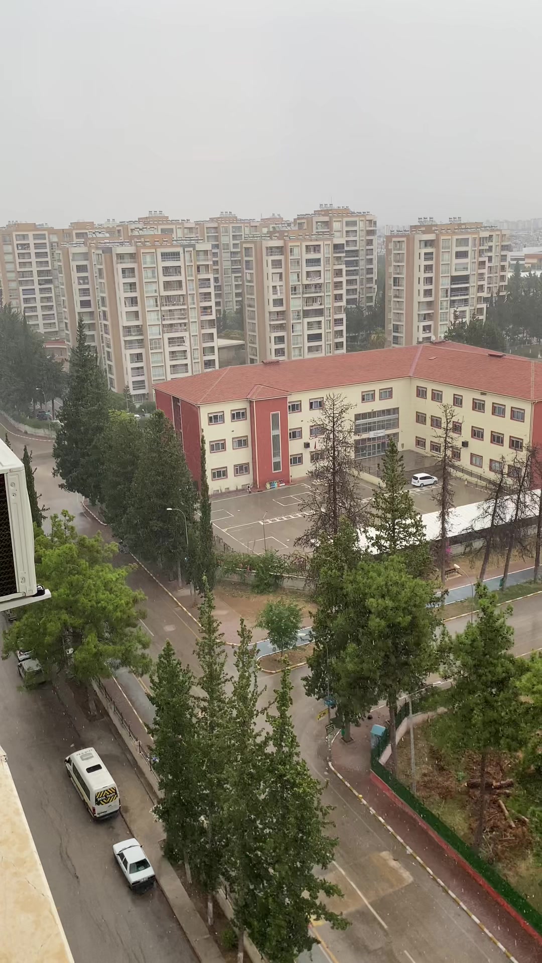 @ŞAHİN_01