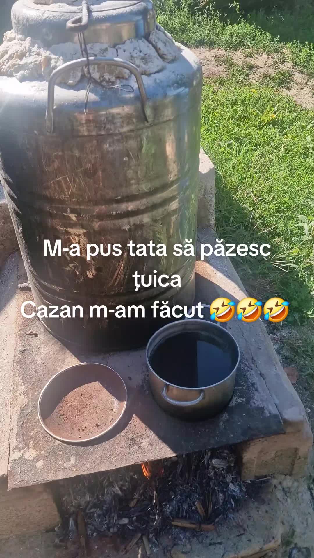@Diana Dumitrita Alec