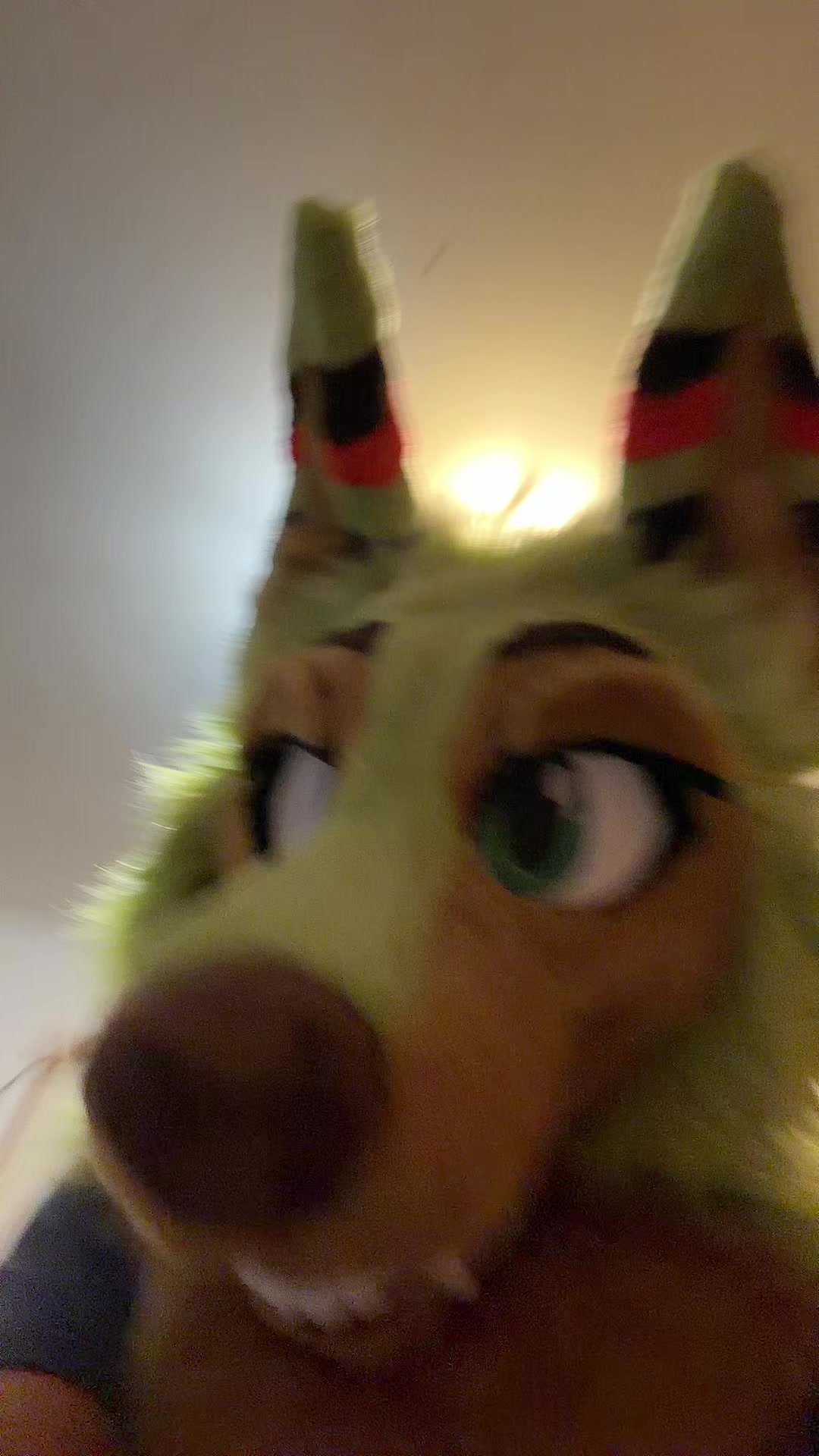 @Makó Suki => ✈️Fur-eh!