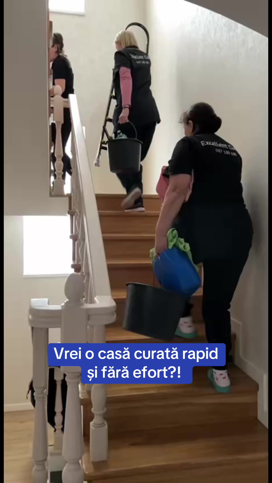 @Alina.curatenie