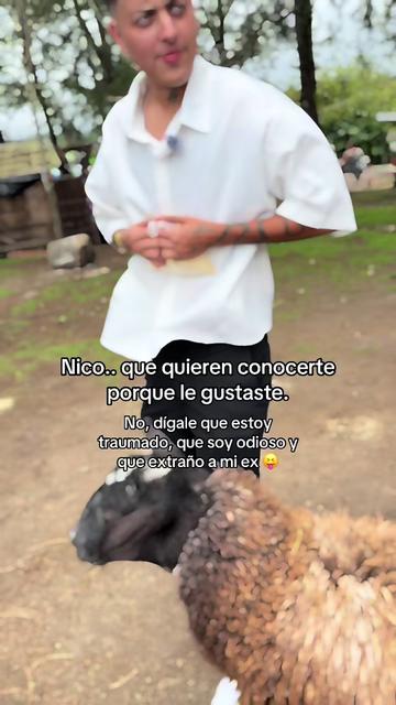 @Nico_transboy💙