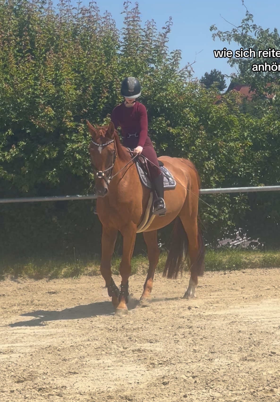 @annalisa.equestrian