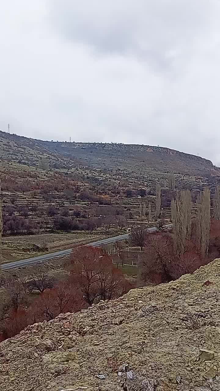 @yusufhayta388