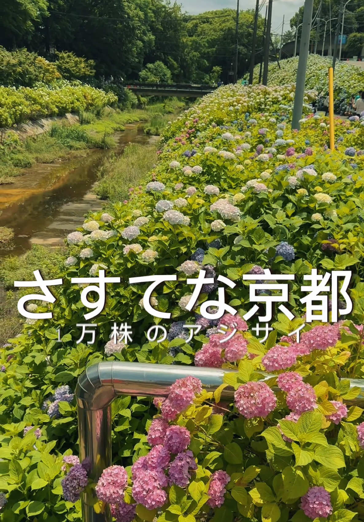 @kyoto_ken