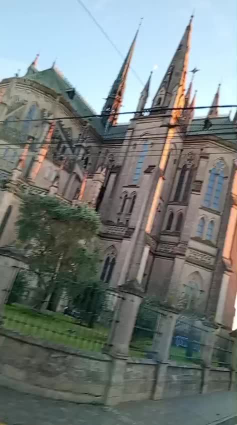 @el rey 🇦🇷