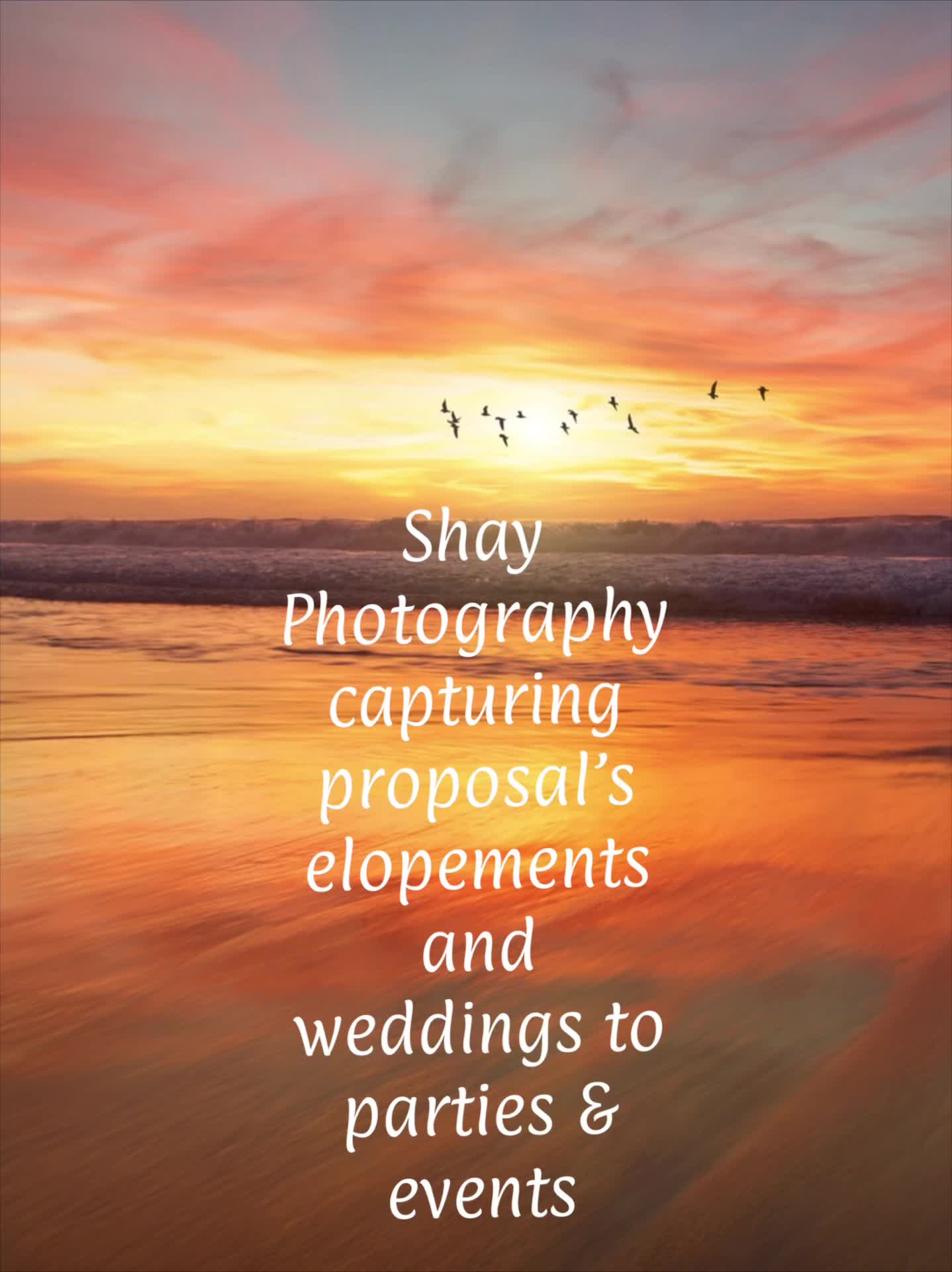 @Shay Photography
