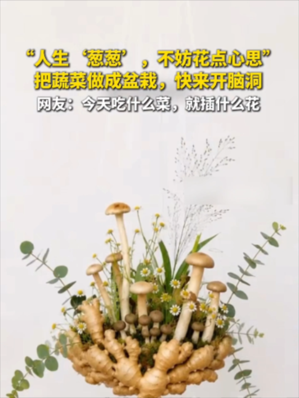 @闽南风~