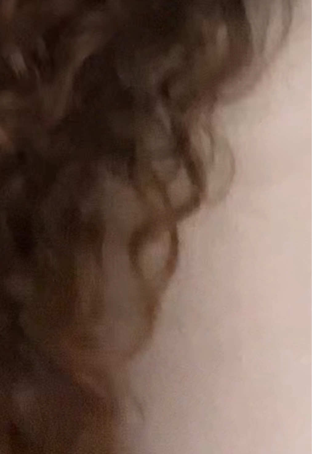 @Jovispam