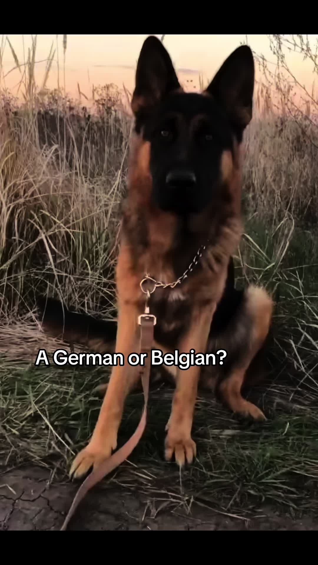 @Waylon