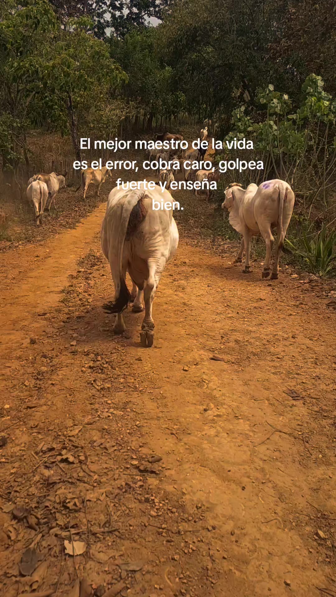 @Jean🤠