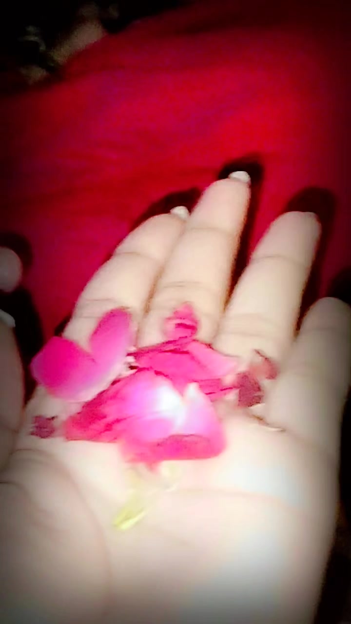 @syeda komal rizvi