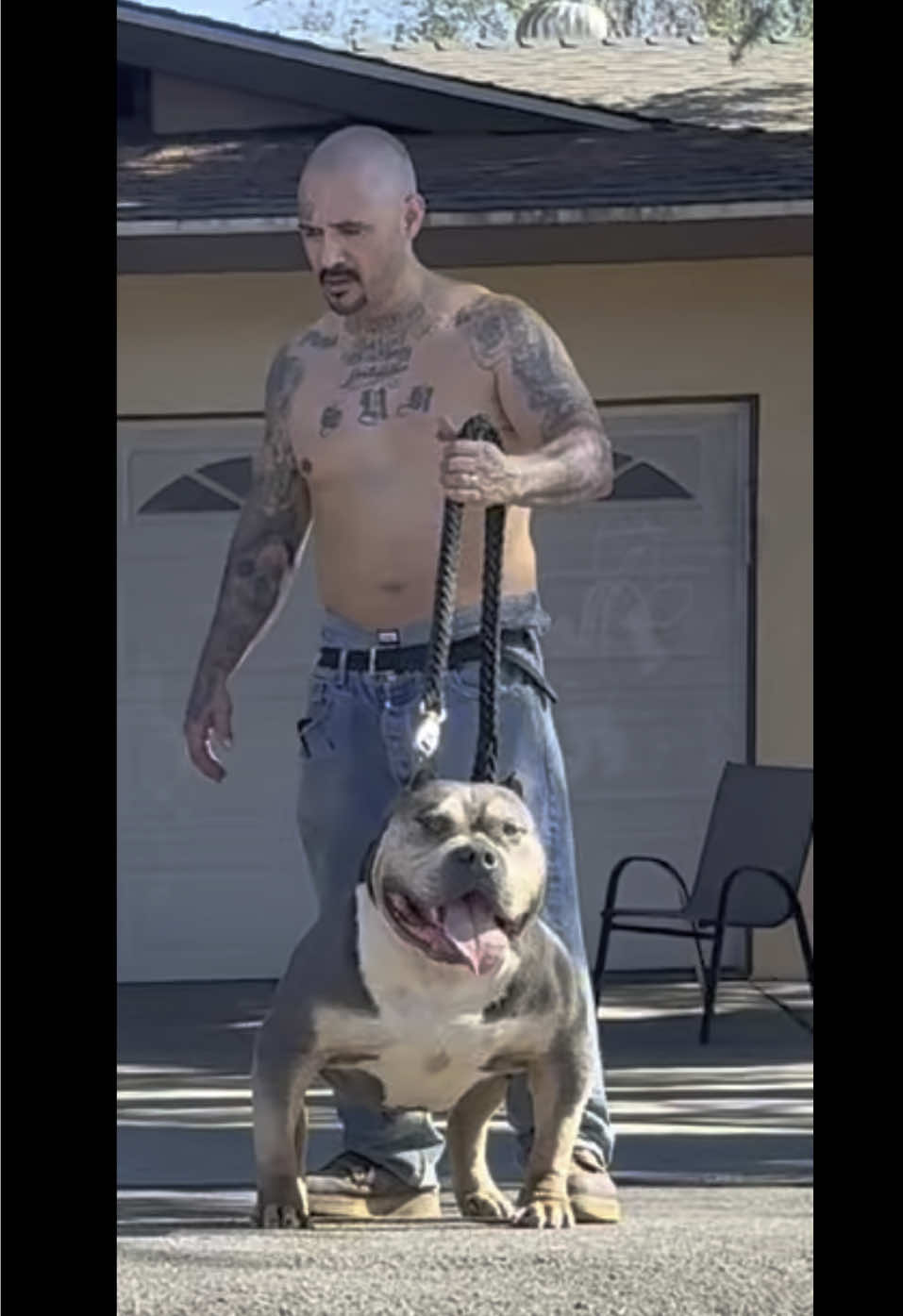 @@Dublinekennels