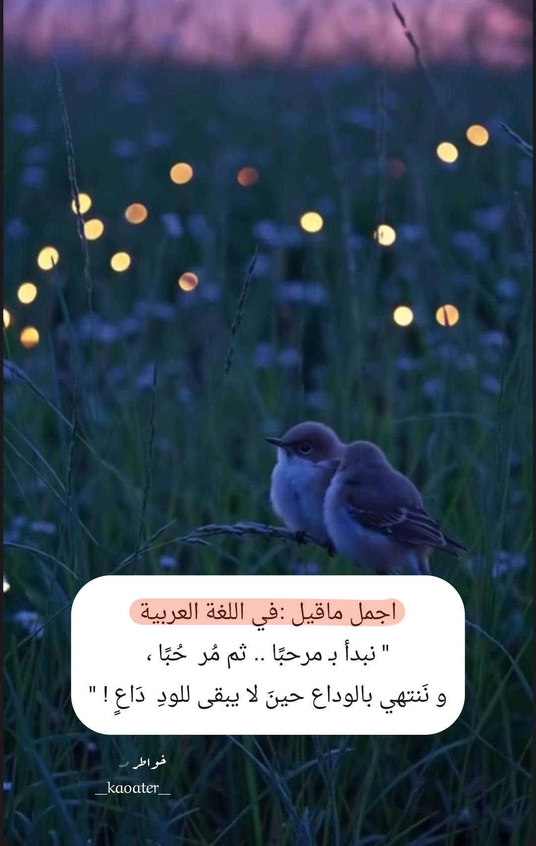@خواطر مقتبسة 🕯️