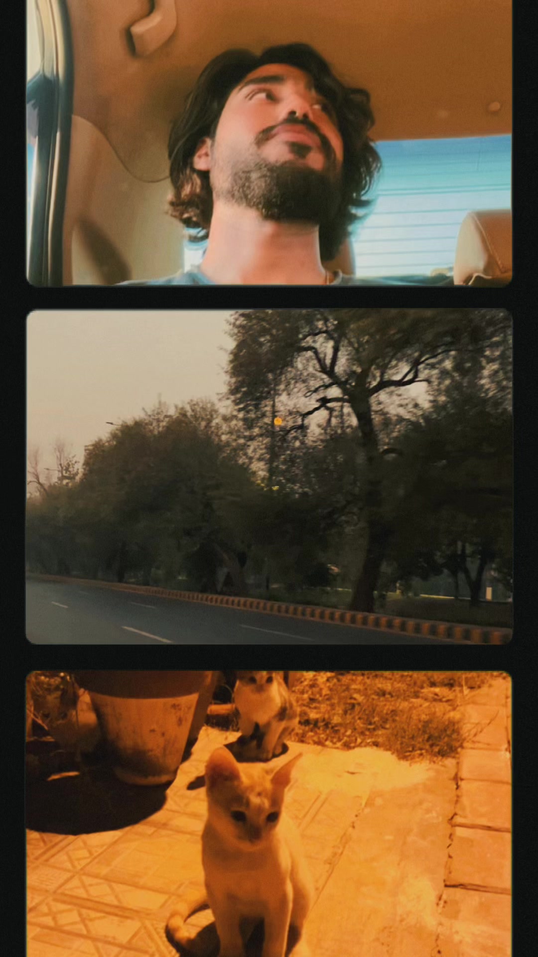 @Syed Shehryar