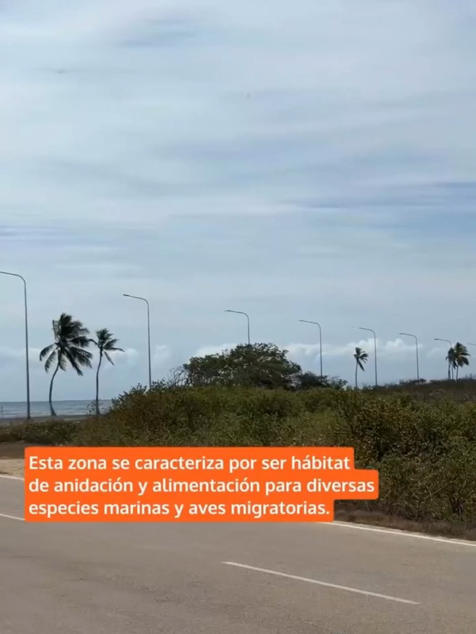 @SanJuanero
