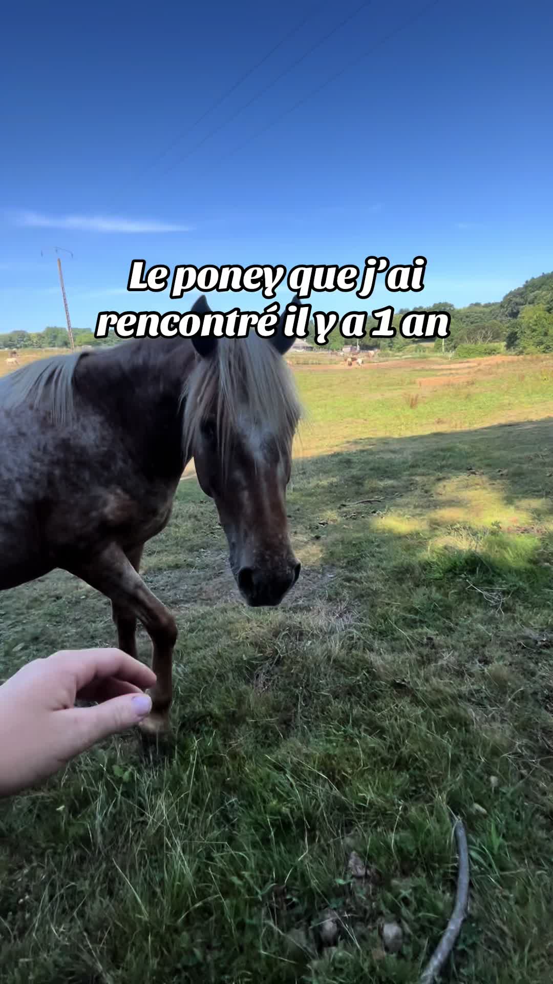 @Jumpy et Am&eacute;lia