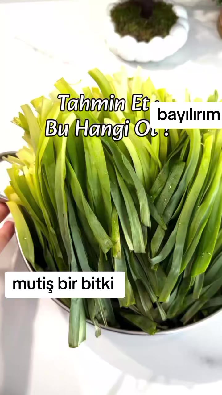 @Yararlı Bilgiler