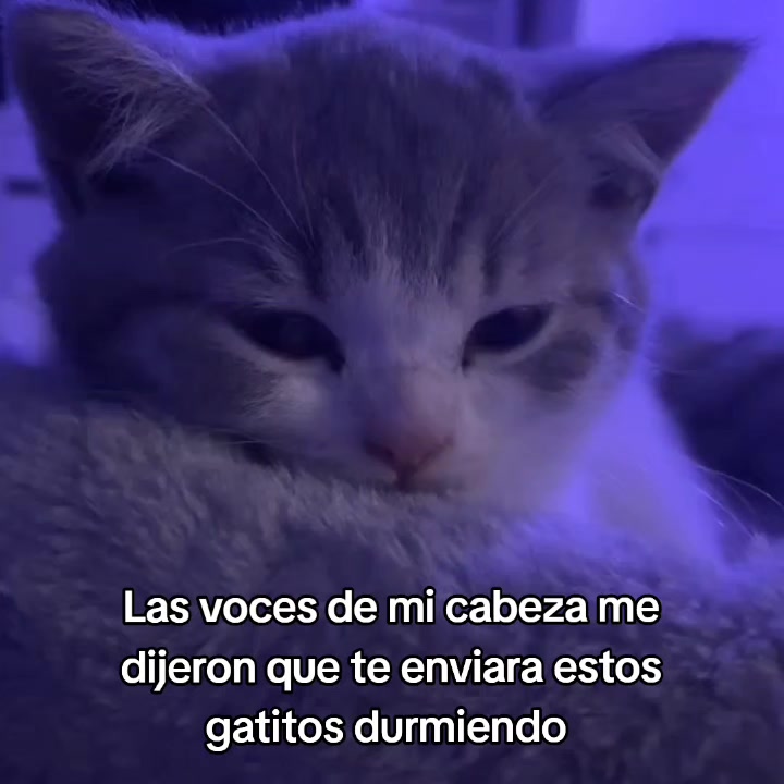 @goodvibessxd