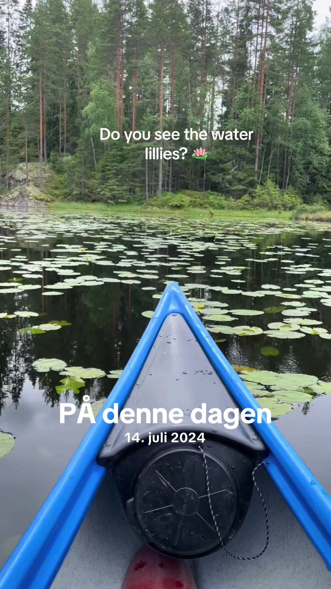 @colorsofnorway