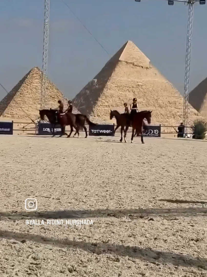 @streamhorse