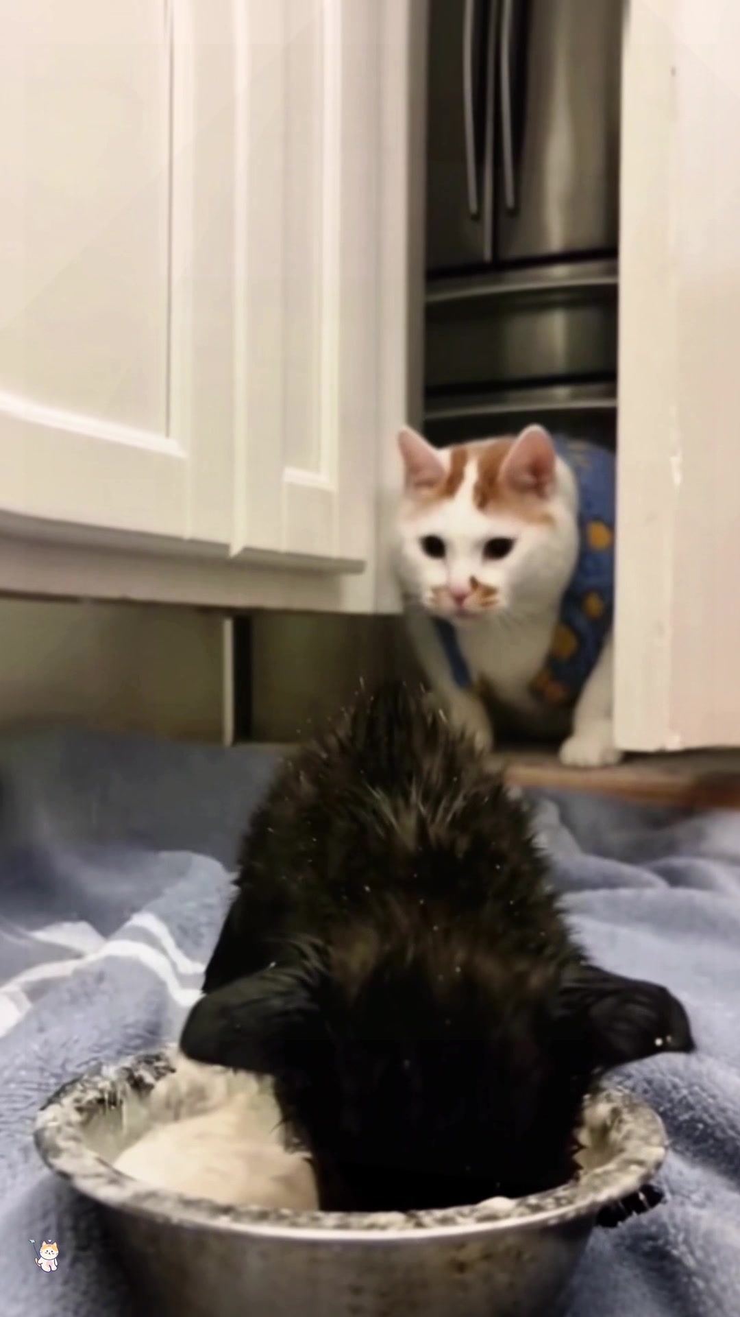 @SneakyFails