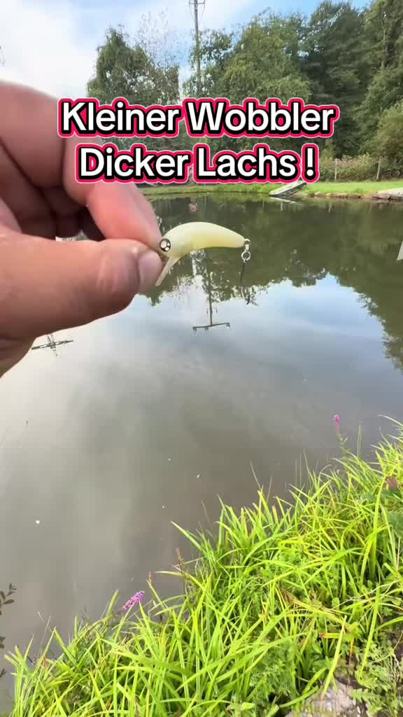 @Fishing_DP