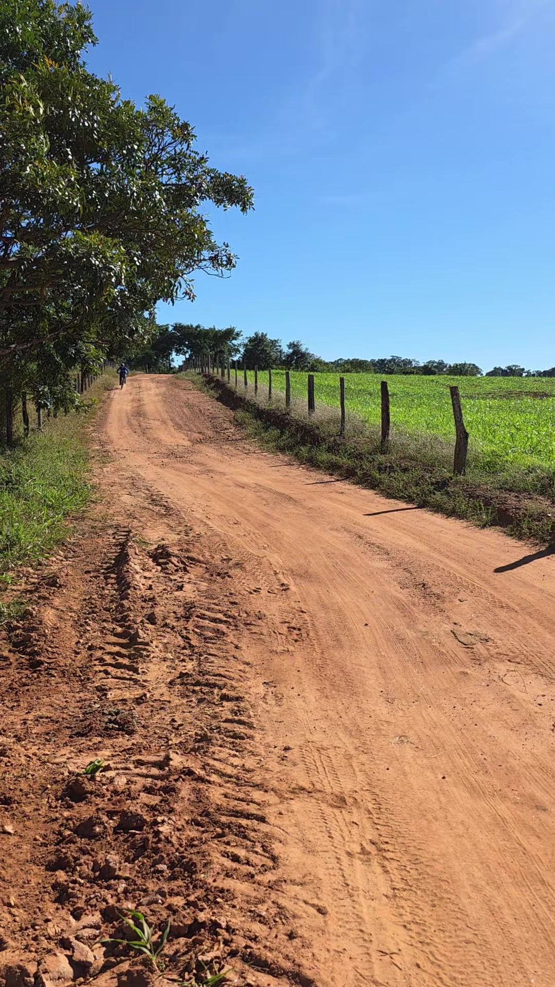 @Elaine Silva Ciclista